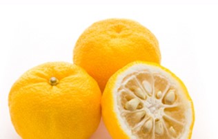 화장품원료사업 부문