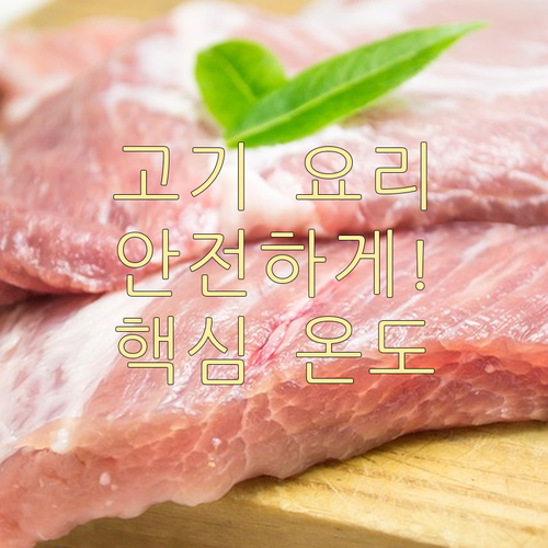 고기 요리, 이제 안전하게! 핵심 온..