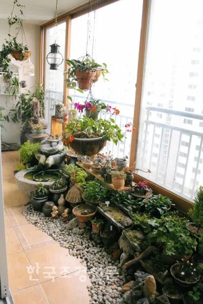 베란다정원 키우기 바람차단 햇빛차광 물주기 여름철 관리 요령_8