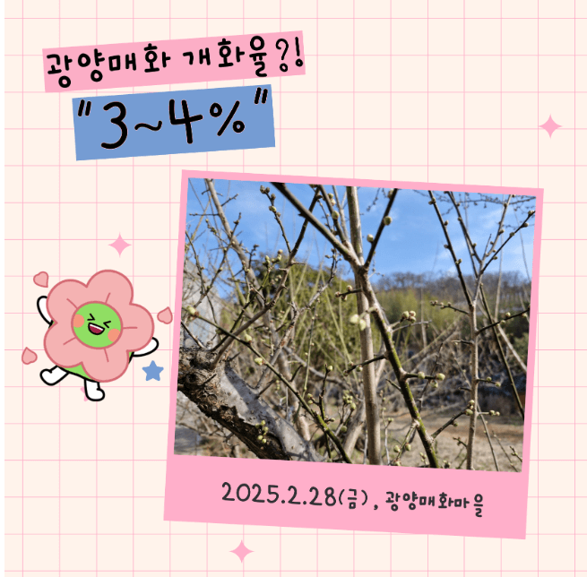 광양매화마을 실시간 교통 상황 확인하는 법