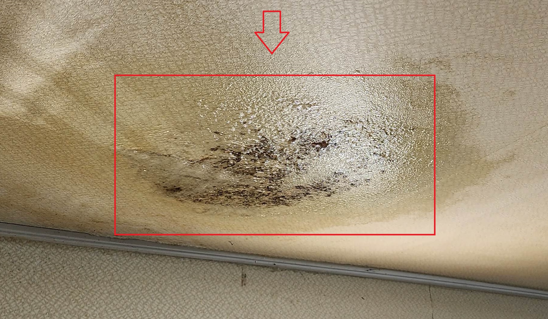 곰팡이 제거제 젤형태 벽지 천장3