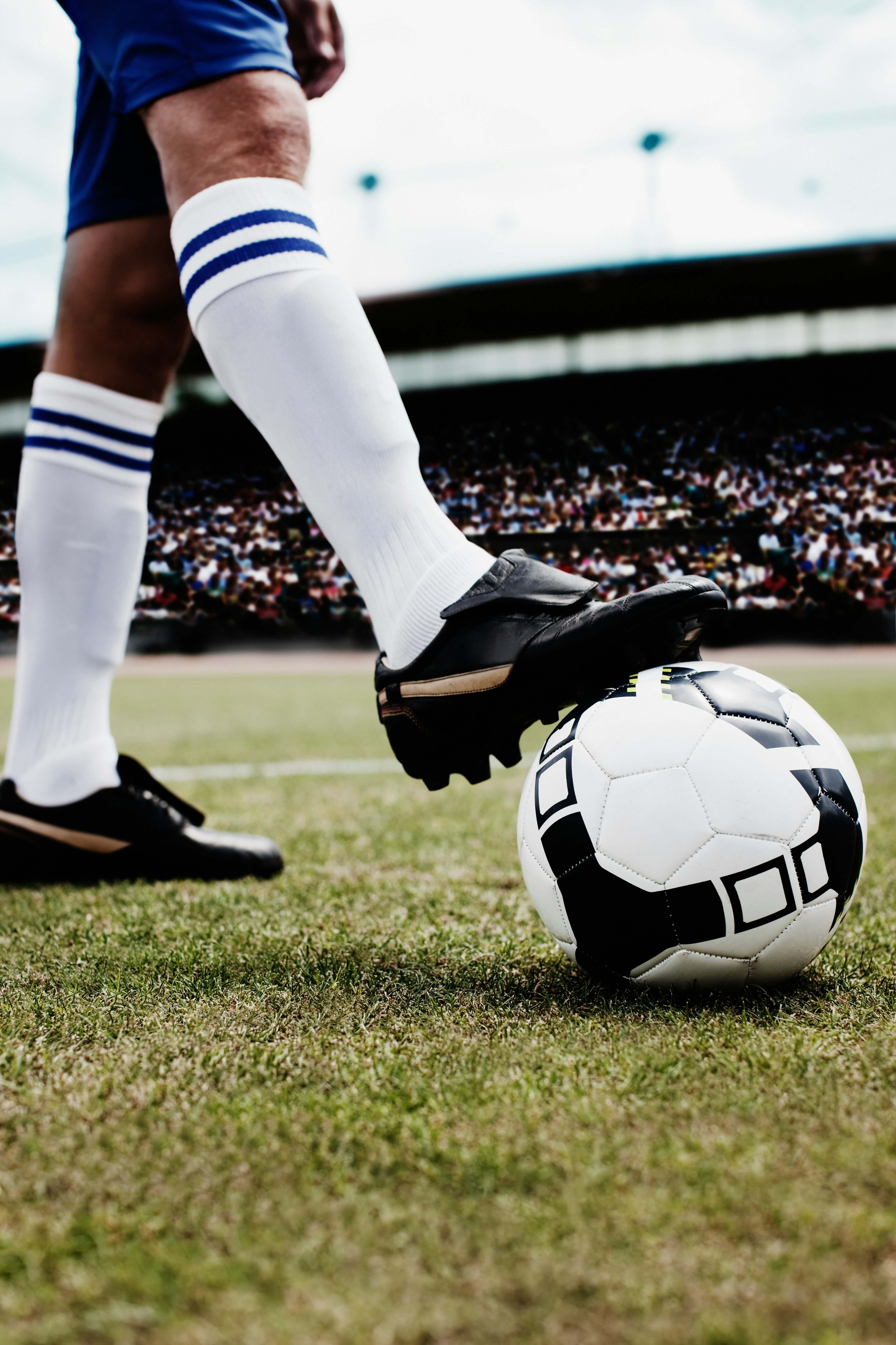 축구협회장 선거