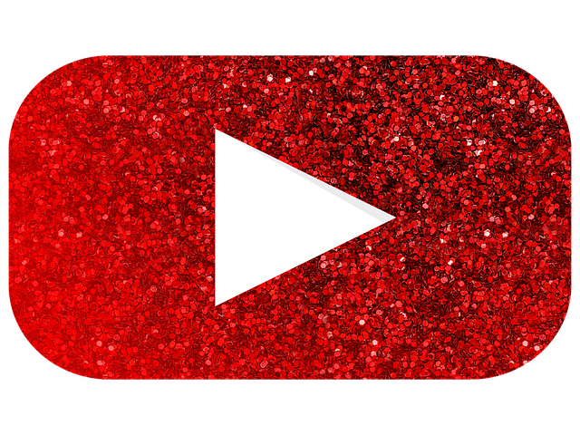 유튜브 프리미엄 라이트란