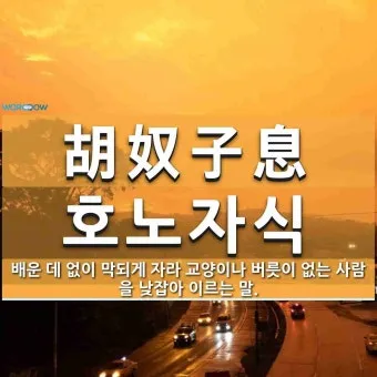 호로자식 속담 뜻 유래 의미 어원_8