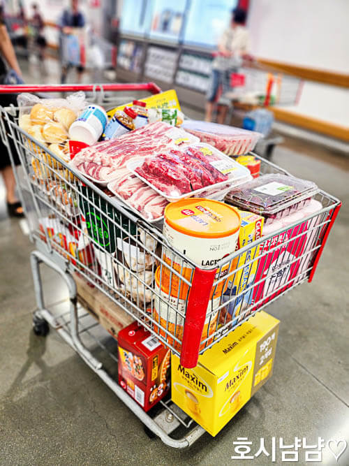 코스트코장보기2