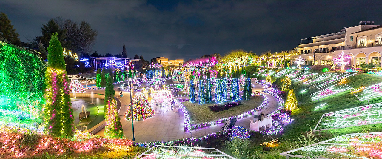 별빛이 흐르는 정원 파주 퍼스트가든 가이드