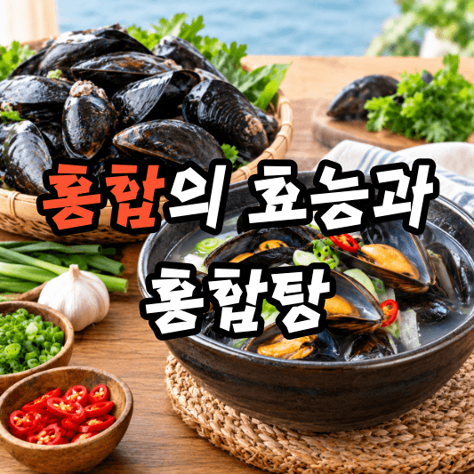 홍합의 효능