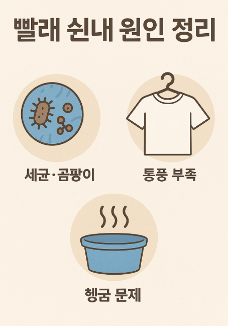 빨래 쉰내 원인 정리 - 세균 곰팡이, 통풍 부족, 헹굼 문제