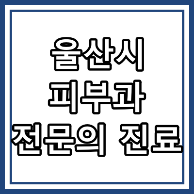 울산광역시 피부과 전문의 진료 하는 피부과의원 완전정리