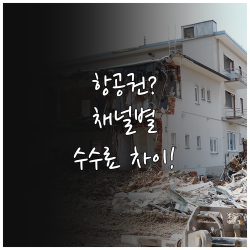 스카이 앙코르 항공권 구매 채널별 취..