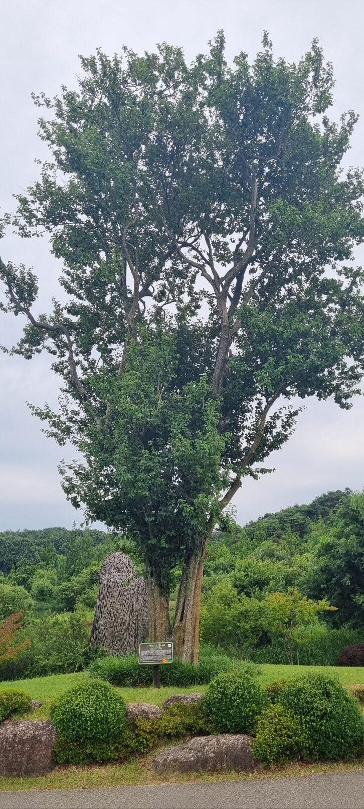 순천만 국가정원 관람 시간 입장료 주차장