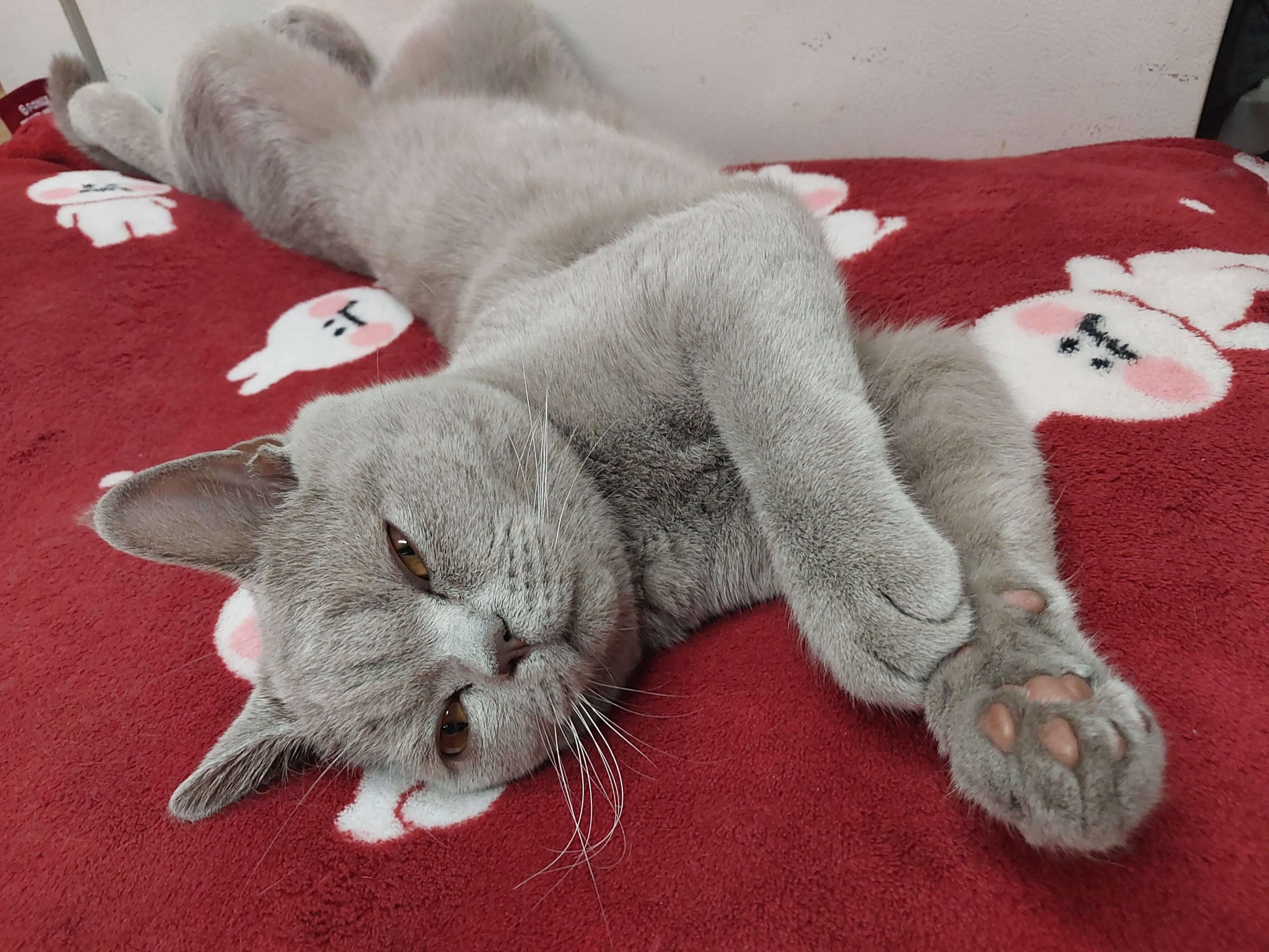 이상한 포즈로 웃음을 주는 누니