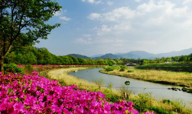 가을-여행-장소-명소-여행지-추천-함양-상림공원