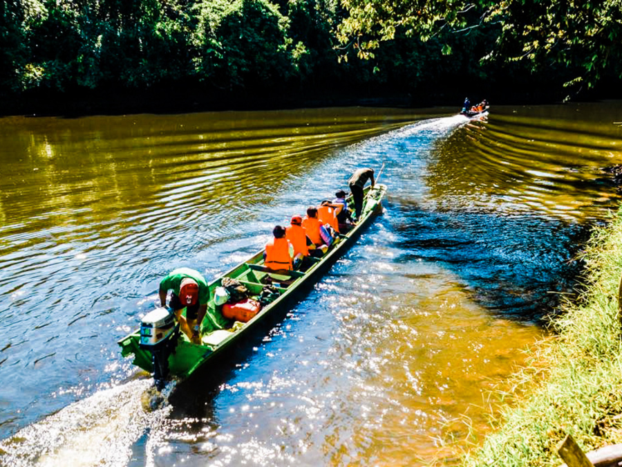 템부롱 국립공원 (Ulu Temburong National Park)