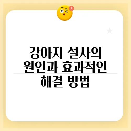 강아지 설사의 원인과 효과적인 해결 방법