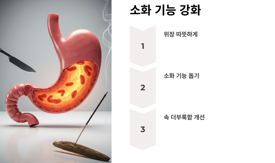 소화 기능 강화