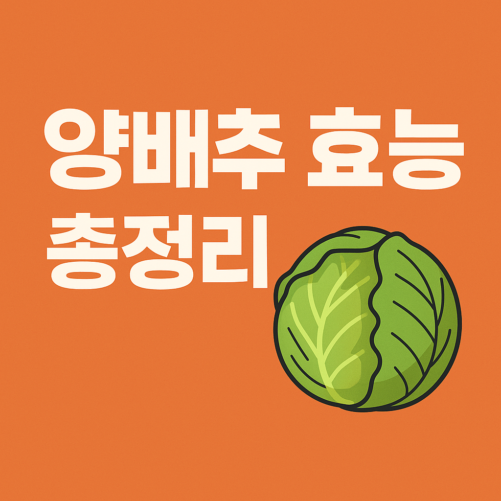 양배추 효능