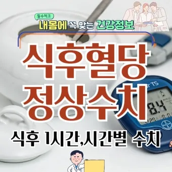 식후 혈당 정상수치를 정리_15