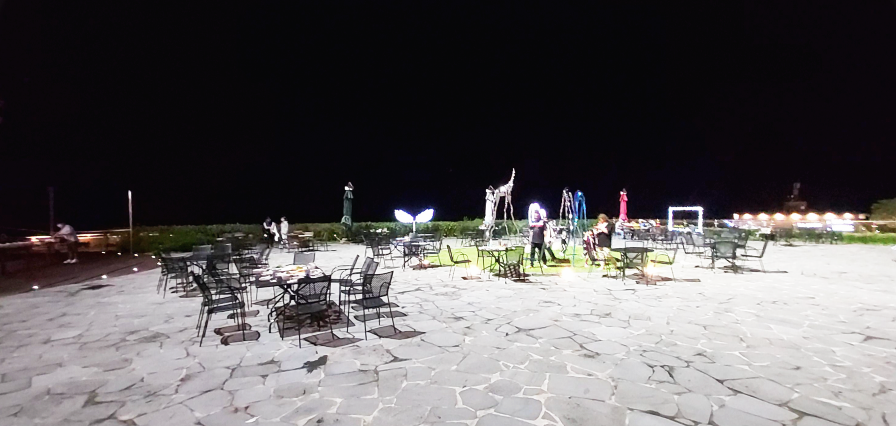 파인트리 가든 청송 소노벨 파인트리가든 모습