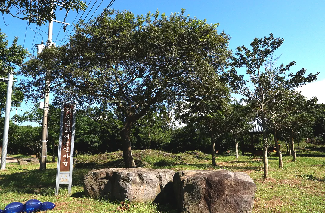 제주 올레길 13코스 용수-저지 올레 완주 가이드: 거리 소요시간 코스별 특징 정리