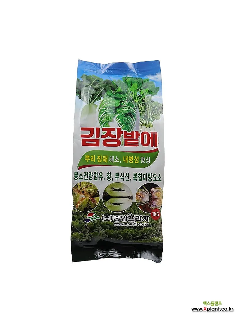 김장무 웃거름 주기 비료주는 시기와 방법을 안내_3