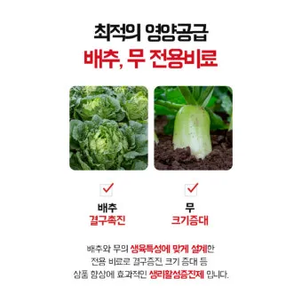 김장무 웃거름 주기 비료주는 시기와 방법을 안내_6