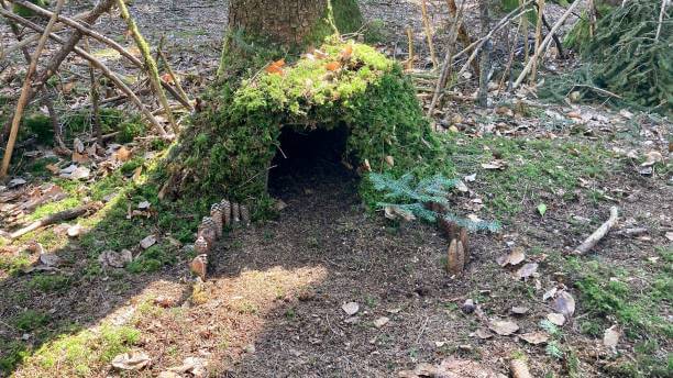 비상상황을 위한 하룻밤용 땅바닥 방수침상 DIY