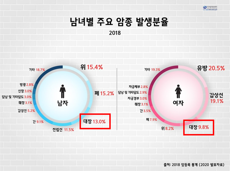 남녀별 주요 암종 발생분율