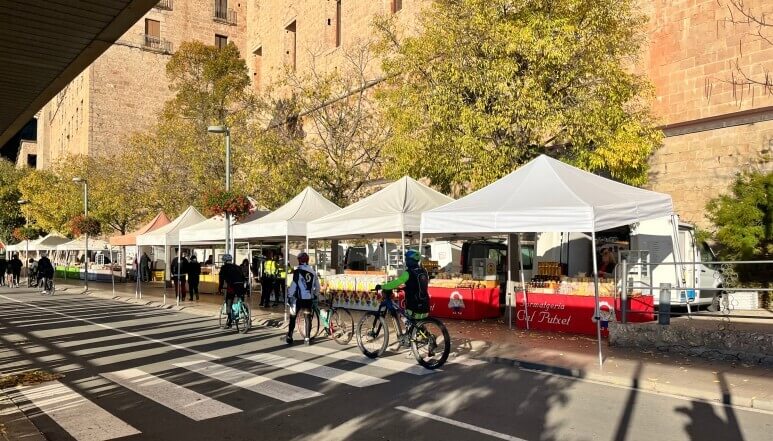 몬세라트 수도원