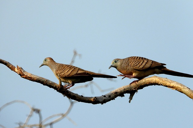 자녀장려금 신청자격·신청기간 총정리 (2025년 최신)