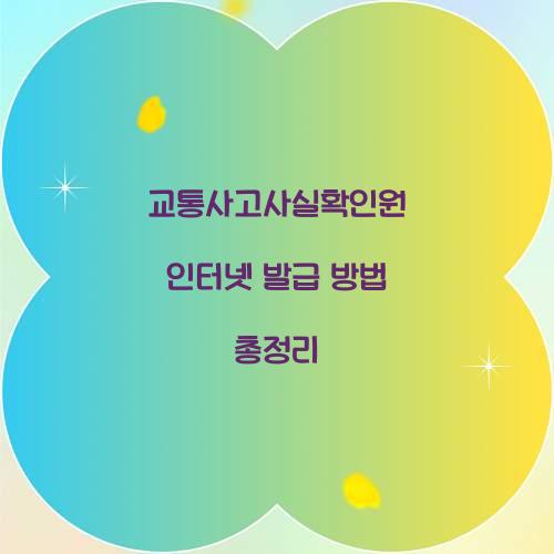 교통사고사실확인원 인터넷 발급
