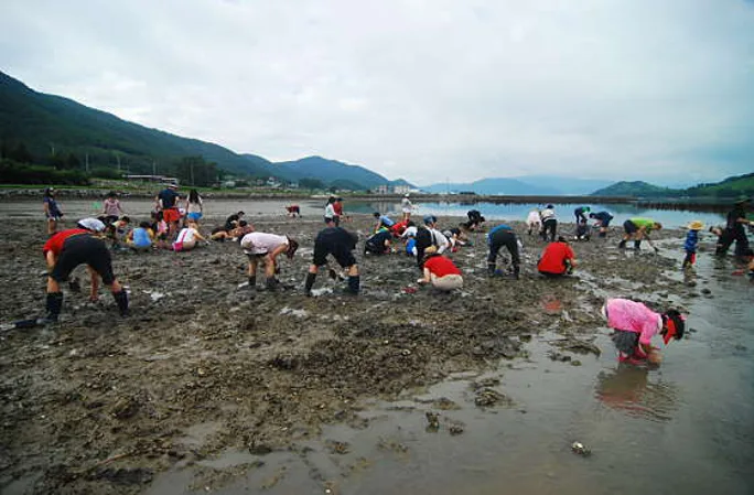 동대만갯벌체험장