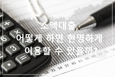 소액대출