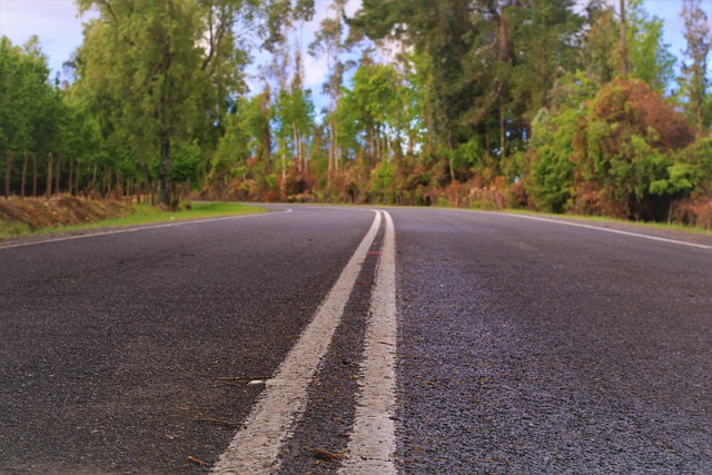 올여름, 템플스테이 대신 팜스테이! 자연 속 진정한 힐링을 찾아서 (V)🌿