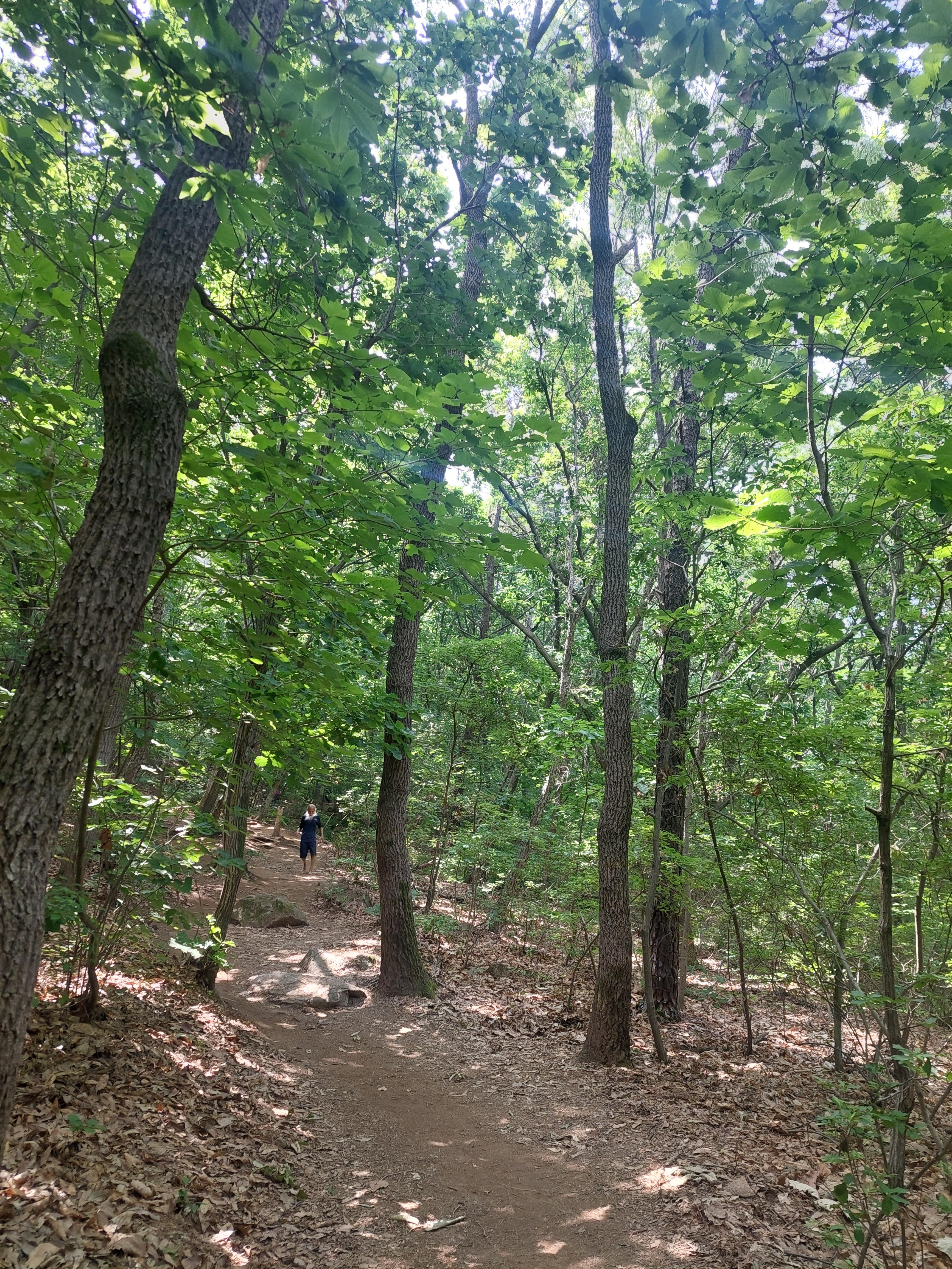 심학산