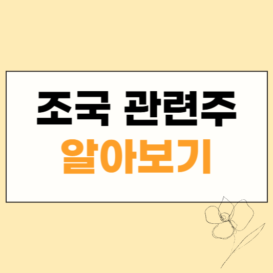 조국관련주 썸네일