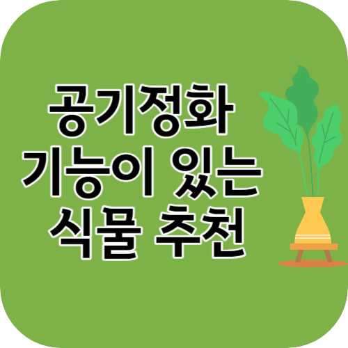 공기정화 기능이 있는 식물 추천