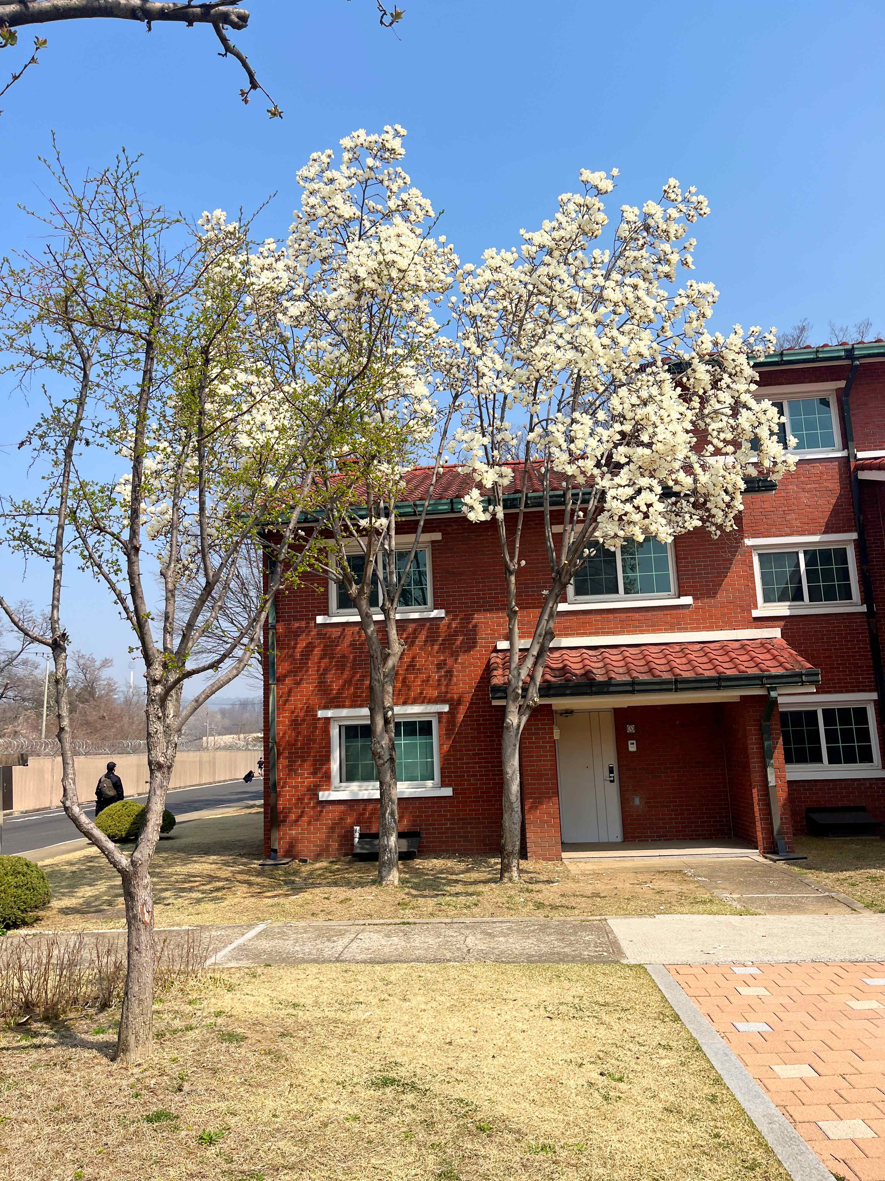 용산공원 미군기지