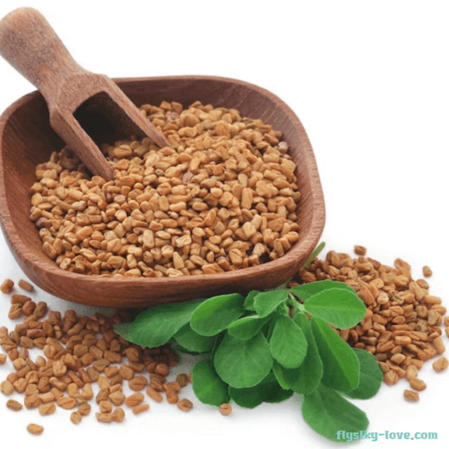 식욕 억제 및 당뇨에 효과적인 호로파(Fenugreek)