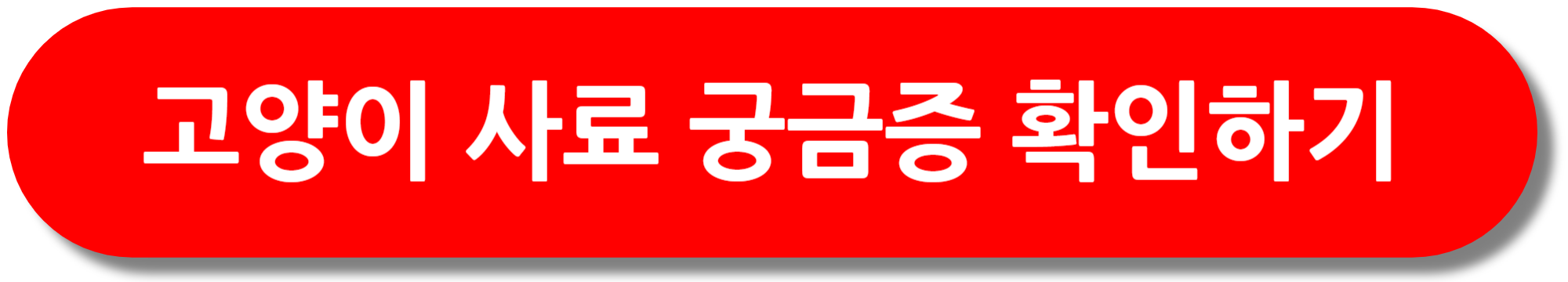 고양이-사료-궁금증