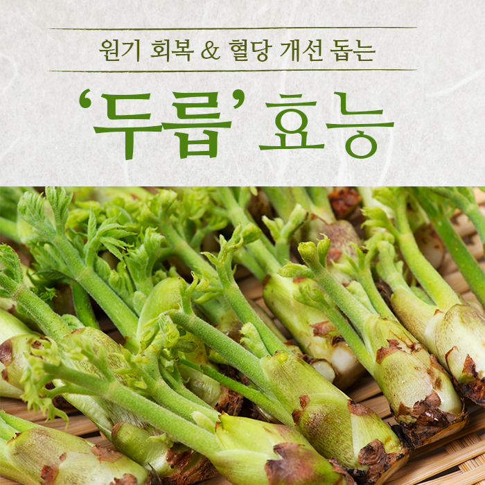 두릅의 효능 총정리, 혈관 건강부터 면역력까지