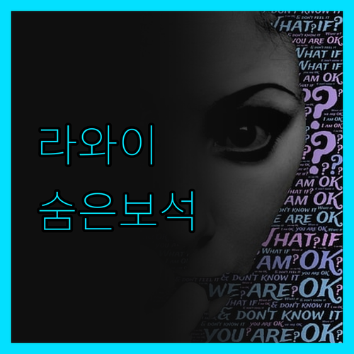 kana international H