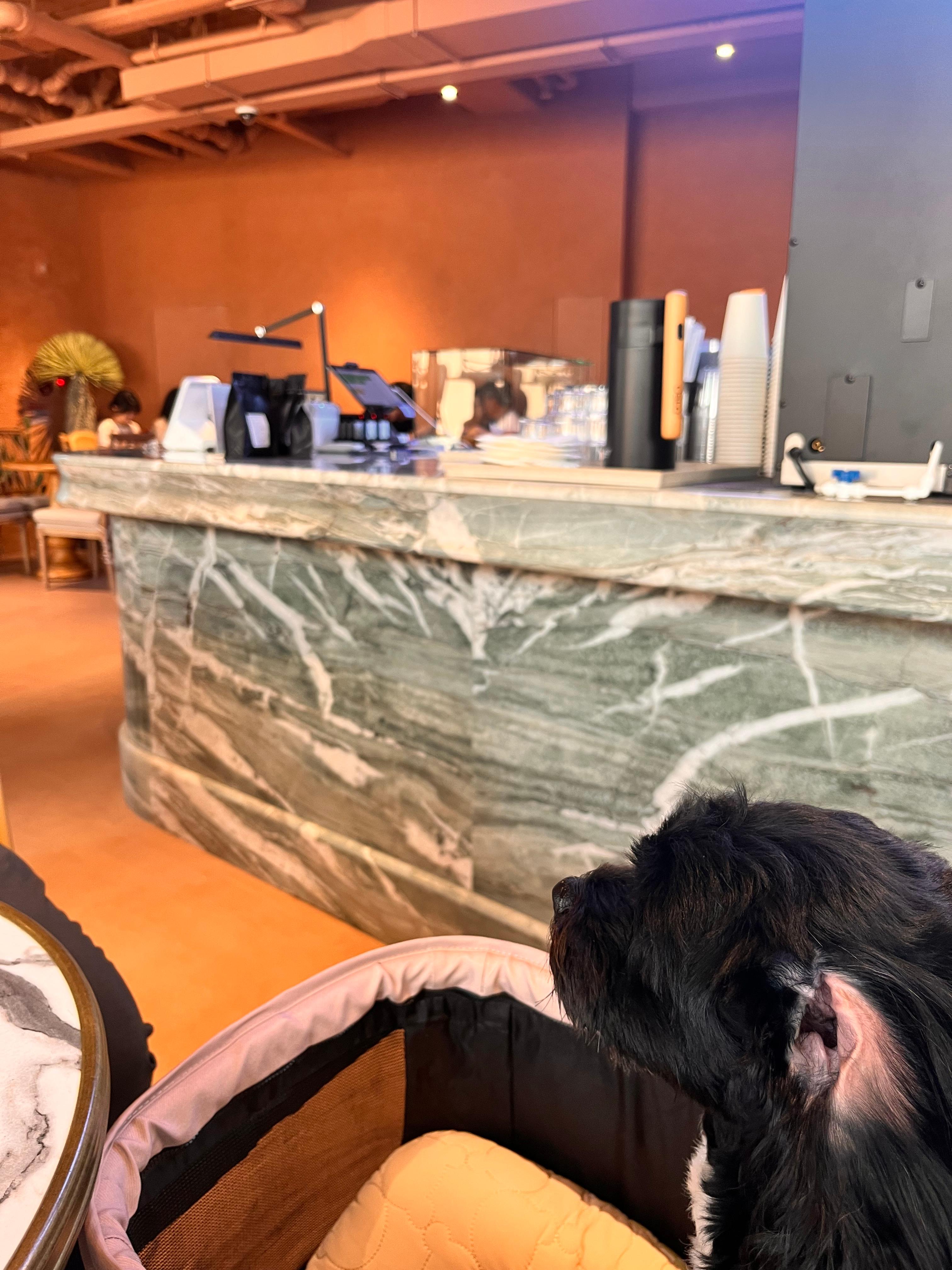 [카페] 삼성동 코엑스 근처 모로코 느낌의 이색 카페 '로코하우스'