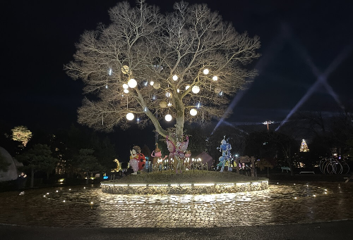 함평-겨울빛축제-참고-이미지