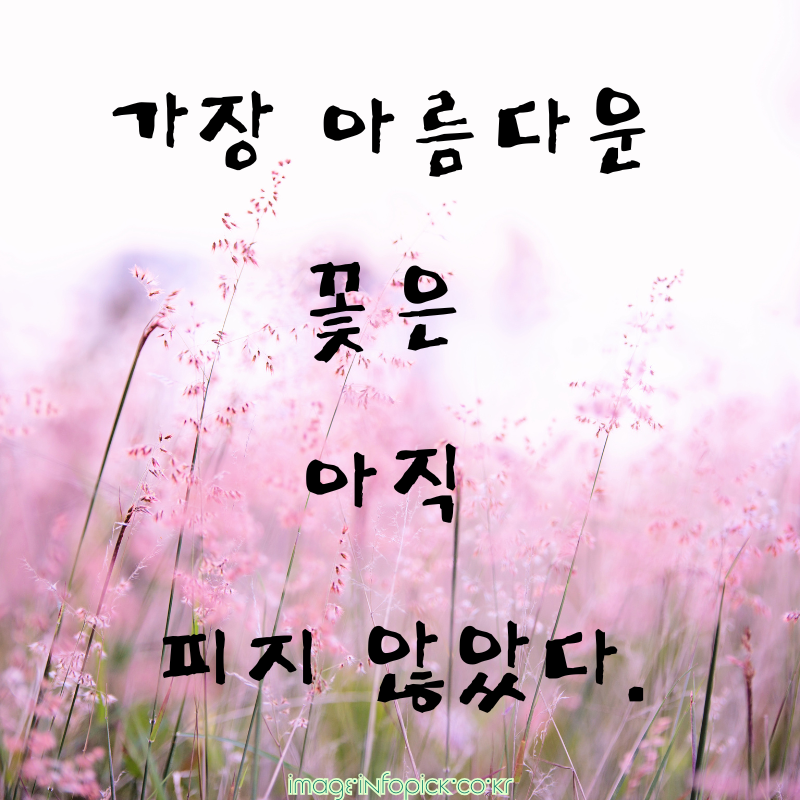캘리그라피 글귀 좋은 명언 글씨체