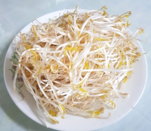 숙주나물 사진