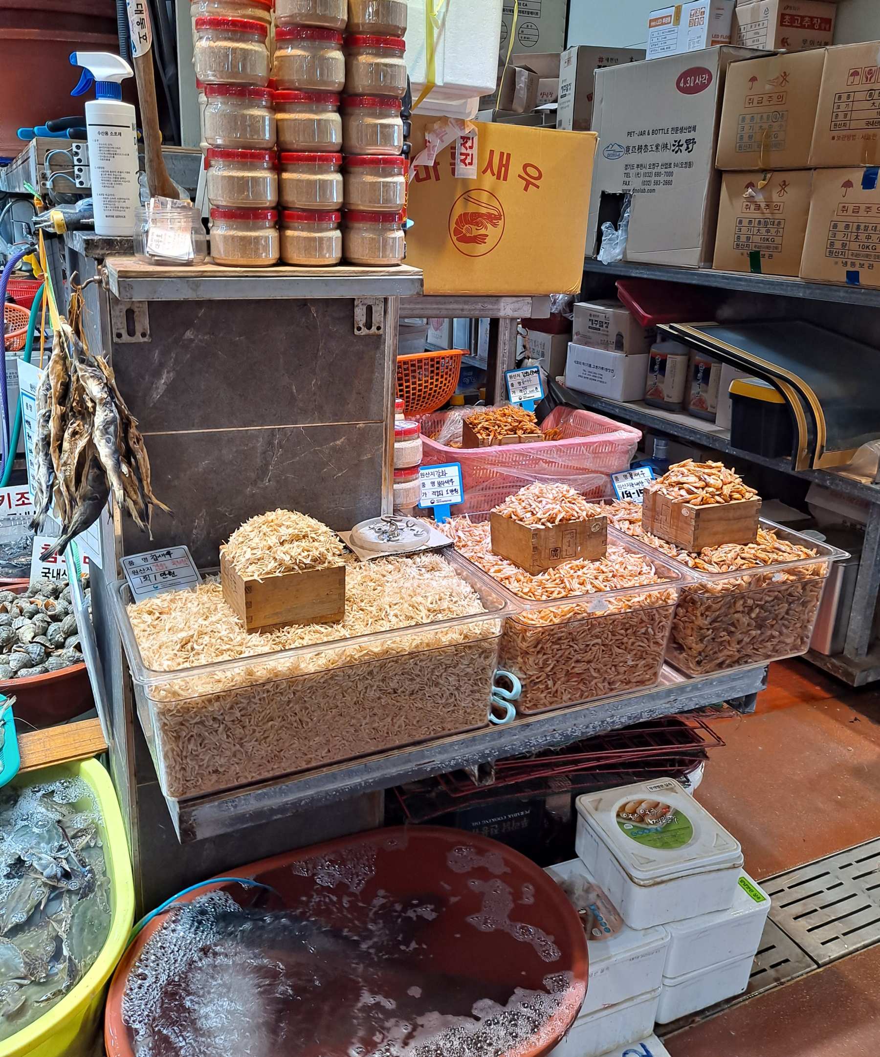 새우젓과 다양한 새우