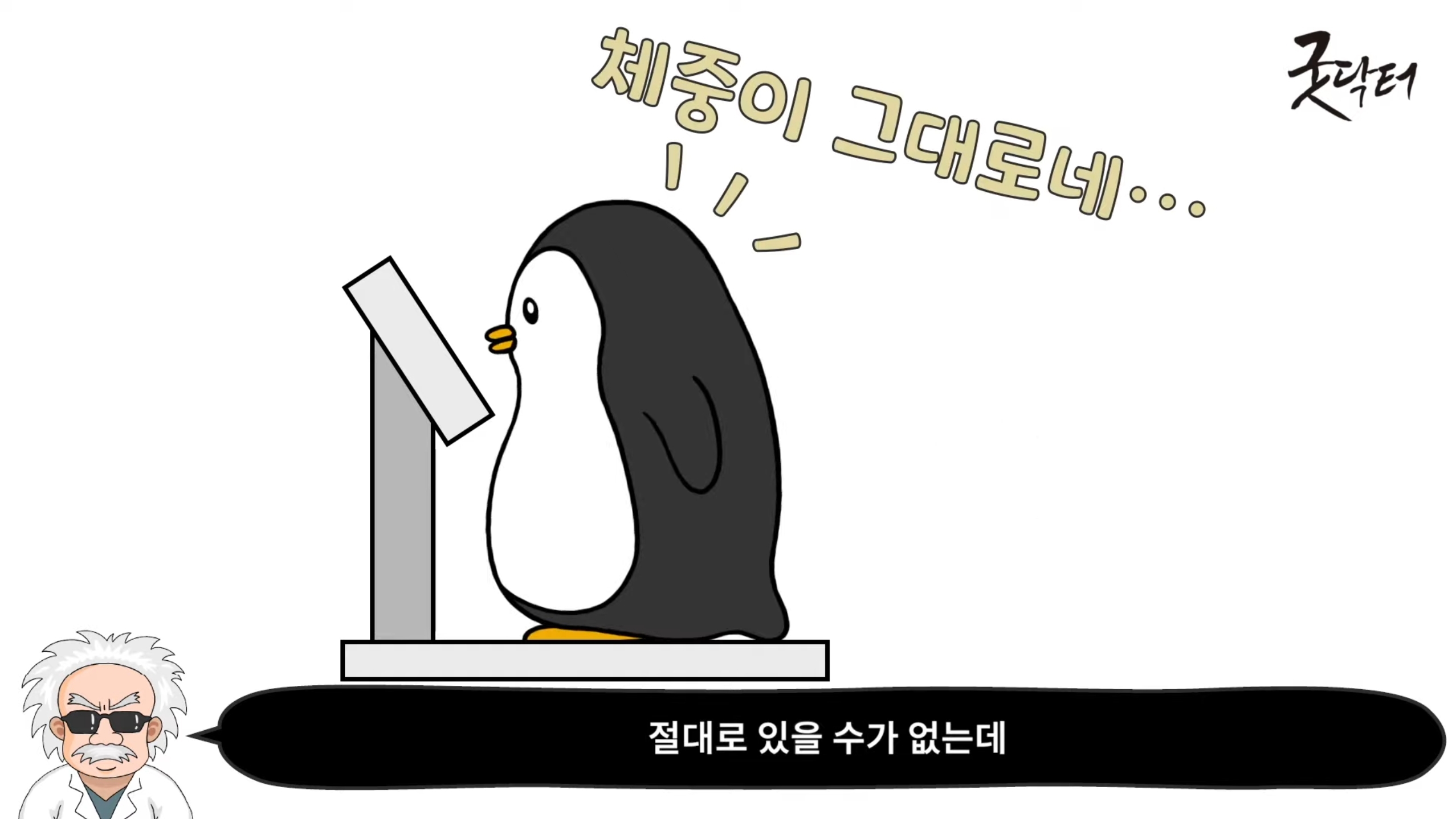 그래서 보이차 마시고
살이 빠지거나 하는 일은
절대로 있을 수가 없는데