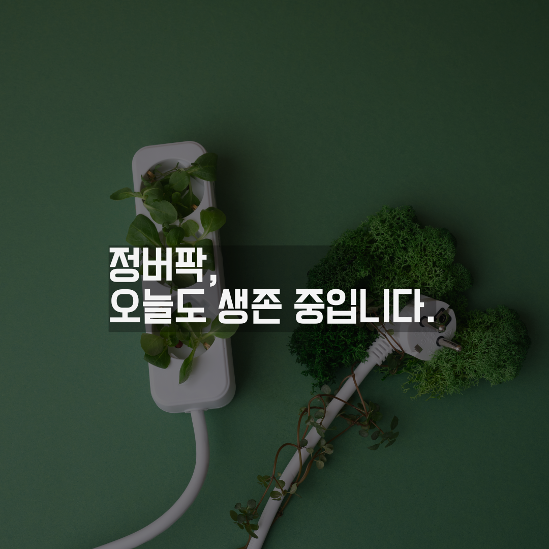 이제는 알아서 다행이다