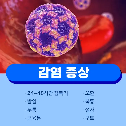 노로바이러스 증상